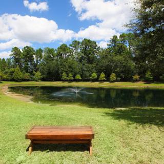 A serene view of a tranquil pond surrounded by lush greenery, featuring a wooden bench inviting visitors to relax and enjoy the scenery.
