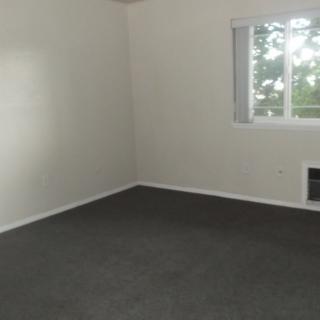 A simple, empty room with white walls and a carpeted floor.