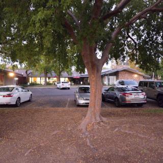 A view of a parking lot surrounded by trees, with several cars parked in a residential area during the evening.