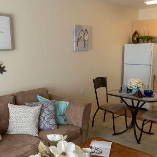 A cozy living room with a sofa, decorative pillows, and a dining table in front of the kitchen area.