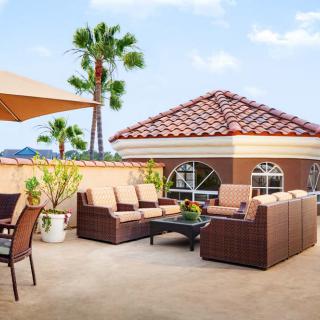 A sunny outdoor patio with comfortable seating and palm trees.