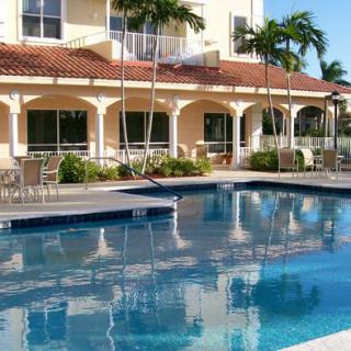 A serene poolside view at a tropical resort with palm trees.