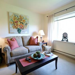 A cozy living room with a sofa, coffee table, and decorative elements.