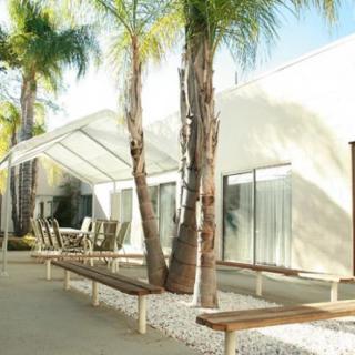 A modern patio with palm trees and outdoor seating under a clear sky.