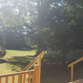 A sunny day in a backyard with trees and lush grass.