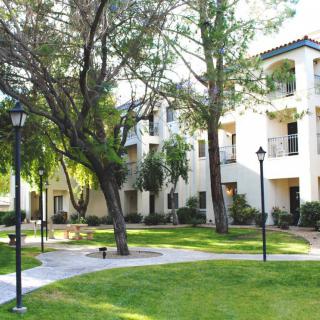 A serene view of an apartment complex surrounded by lush greenery and winding pathways.