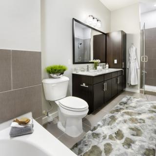 A modern bathroom featuring a sleek vanity, toilet, and walk-in shower with stylish decor.