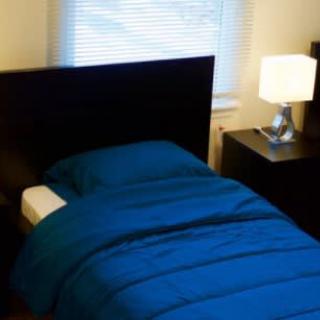 A cozy bedroom with a single bed featuring blue bedding, accompanied by a nightstand and lamp.
