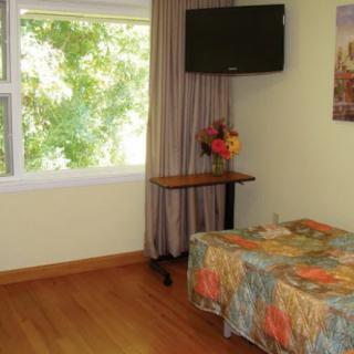 A cozy bedroom with a single bed, wall-mounted TV, and a view of greenery through the window.