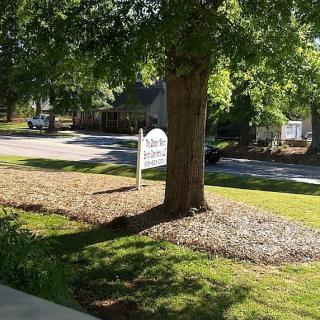 A tree stands in a sunny yard beside a street with a sign visible in the background.