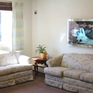 A cozy living room with two patterned sofas, a plant on a side table, and a painting on the wall.