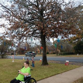 A person in a green shirt sitting in a wheelchair next to a tree beside the sidewalk.
