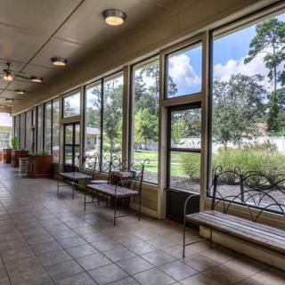 A bright hallway with large windows overlooking a lush outdoor area.