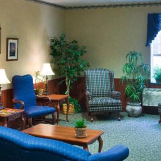 A cozy living room with blue and patterned armchairs, wooden tables, green plants, and a window with curtains.