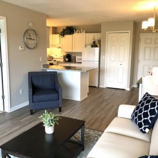 A modern open-concept living room with a view into the kitchen, featuring sleek furniture and wood flooring.