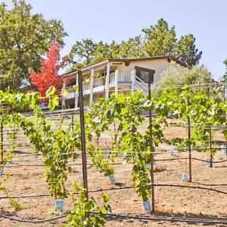 A scenic view of a vineyard with a house in the background, surrounded by lush greenery and autumn foliage.