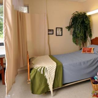 A hospital room with a single bed, curtain divider, and decorative plant.