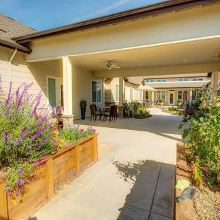 A sunlit walkway lined with planters and greenery.