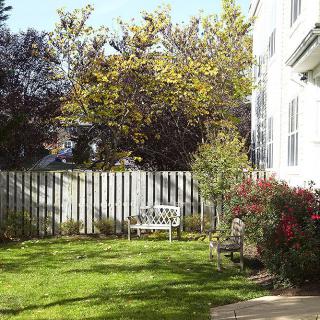 A serene garden with a white bench, surrounded by lush greenery and a wooden fence next to a house.