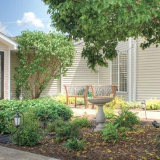A well-maintained garden with a bench next to a house exterior, featuring lush greenery and a tree.