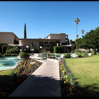 A modern building with a landscaped garden and pathway, surrounded by palm trees under a clear blue sky.