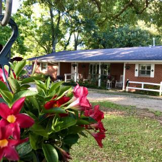 A cozy brick house surrounded by lush greenery and vibrant flowers.