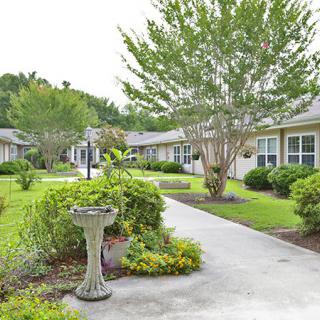 A serene residential garden with a concrete pathway surrounded by lush greenery and manicured landscaping.