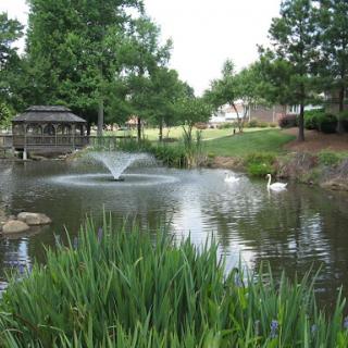 A serene park scene featuring a pond with swans and a water fountain surrounded by lush greenery.