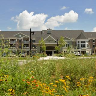A residential building surrounded by a field of wildflowers under a blue sky with clouds.