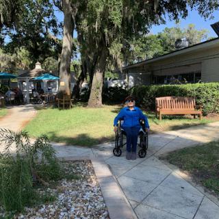 A person in a wheelchair navigating a pathway in a sunny outdoor setting, surrounded by greenery.
