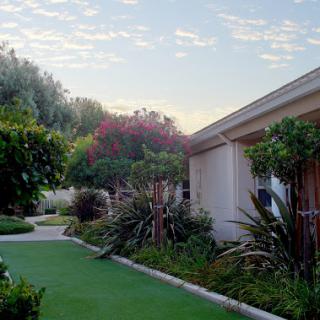 A serene garden pathway surrounded by lush greenery and a clear sky.