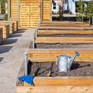 A row of raised garden beds with soil, a watering can, and gardening tools on a sunny day.