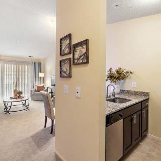 A modern open-concept living room and kitchen area in an apartment, featuring contemporary furnishings and decor.