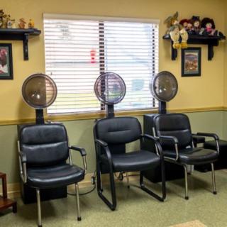 A salon interior with chairs and hairdryers lined up near a window.