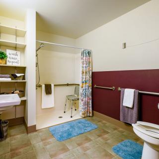 An accessible bathroom with a walk-in shower, grab bars, and floor mats.