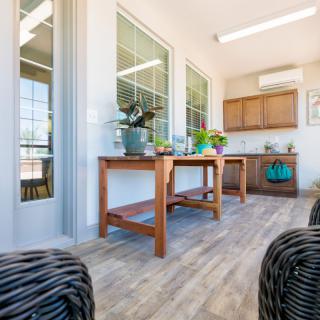 A bright and airy room with wooden floors, large windows, and tables adorned with potted plants.