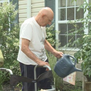 An elderly person is watering plants outdoors using a walker.