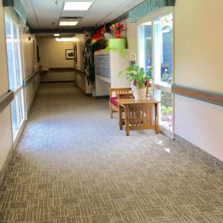A bright hallway featuring carpeted flooring, windows with natural light, and a table with plants.