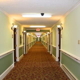 A hotel hallway with green walls and patterned carpet.