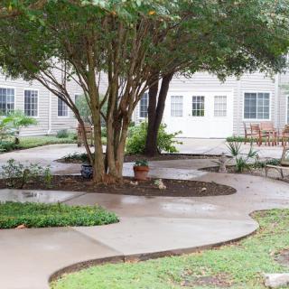 A tranquil garden with a winding walkway surrounded by lush greenery and trees.