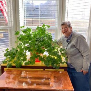 A senior person smiling next to a large houseplant on a windowsill.