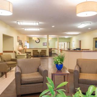 A welcoming lobby with comfortable seating and a touch of greenery.