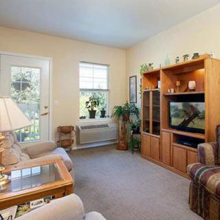 Cozy living room with a sofa, television, and plants.