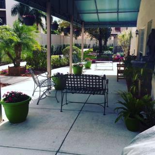A shaded patio with benches and potted plants creating a cozy outdoor seating area.