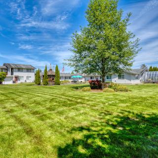 A sunny backyard with a well-maintained lawn, surrounded by residential homes and featuring a prominent tree.
