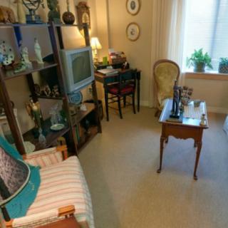 A cozy living room with vintage decor, featuring a television set, ornate furniture, and houseplants by the window.