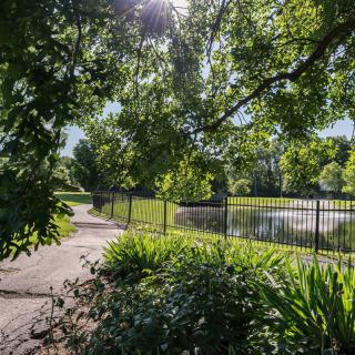 A serene park scene with a pathway beside a pond, surrounded by lush greenery and trees.