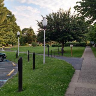 A serene park pathway bordered by lampposts and lush greenery.