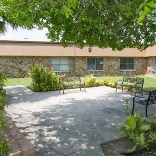 A tranquil outdoor garden area with benches shaded by trees.