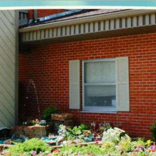 A small garden with various plants in front of a brick-wall house with a window.